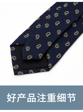 Jacketman蓝色时尚小腰果领带