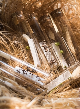 掬涵天然花材漂流瓶森系永生花