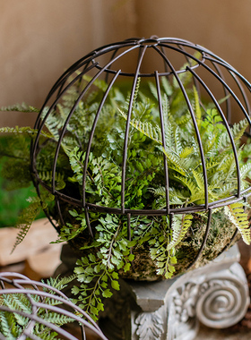 掬涵铁艺鸟笼花艺花器陈列摆件挂饰仿真植物微景观蕨叶绿植装饰品