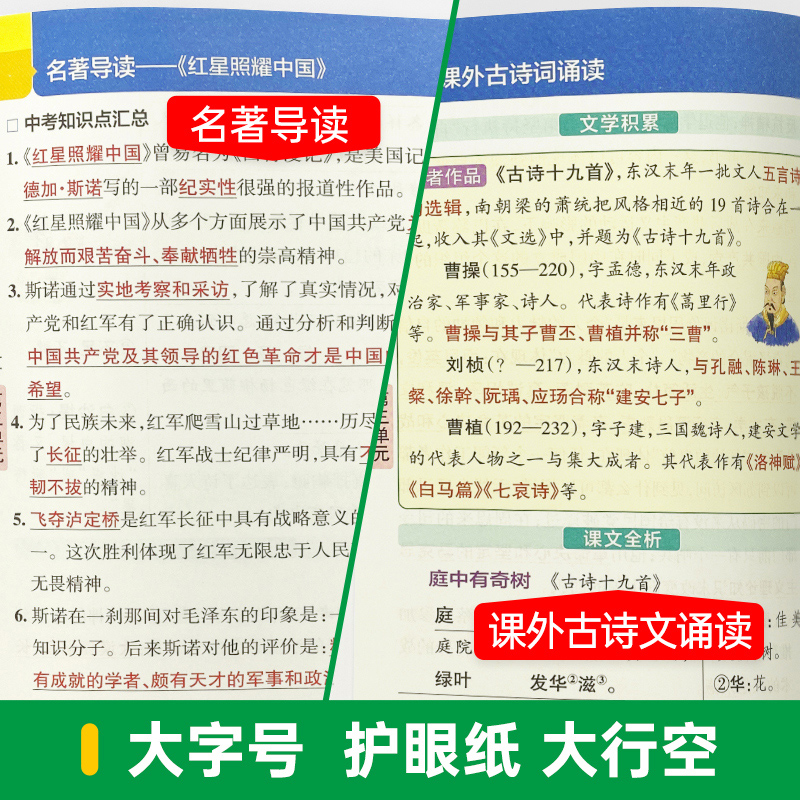 2024学霸速记初中八年级全套语文数学英语物理政治历史地理生物8本 全国通用复习资料初二上下册教材同步知识点考点重难点速查速记 - 图2