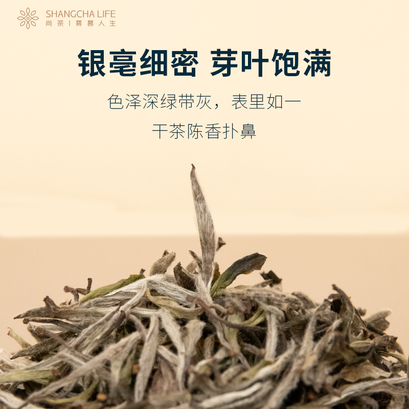 尚茶H1926白牡丹圆满礼盒正宗福鼎白茶2019年白牡丹 - 图0