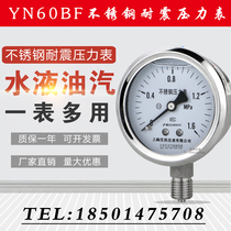 Stainless steel pressure gauge Y60BF YN60BF stainless steel withstand high temperature ammonia with Shanghai instrument People East Asia