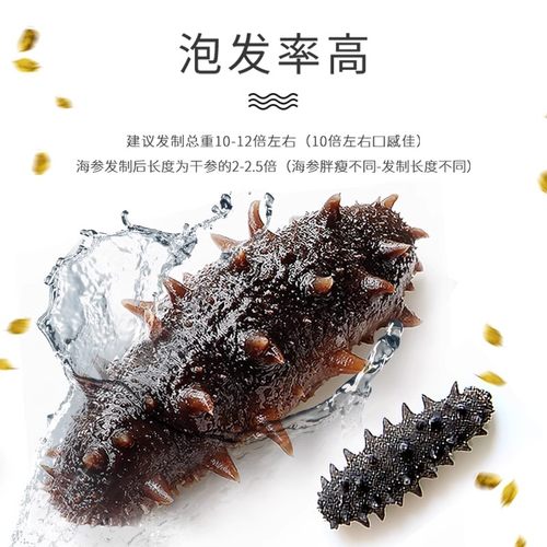 晓芹海参 大连淡干海参 干货 250克21-30头 刺参 辽刺参礼盒 - 图1