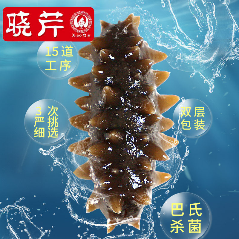 晓芹大连冷冻即食孕妇月滋补克海参 晓芹海参