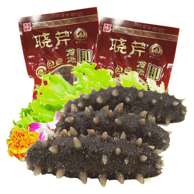 晓芹大连即食500克冷冻大连海刺参 晓芹海参