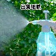 Air pressure garden watering can for watering flowers, cleaning and disinfecting kettle