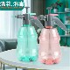Air pressure garden watering can for watering flowers, cleaning and disinfecting kettle