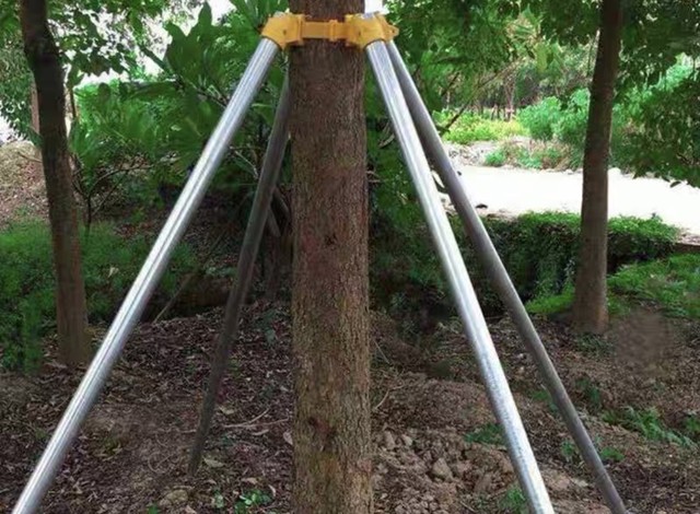 Support pole green tree support frame