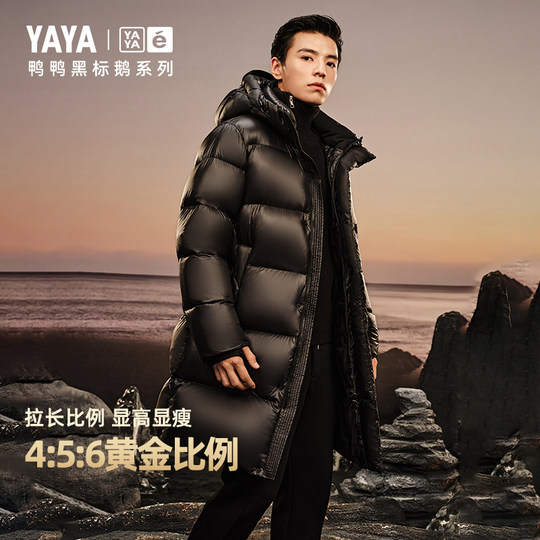 Duck simple mid-length hooded down jacket