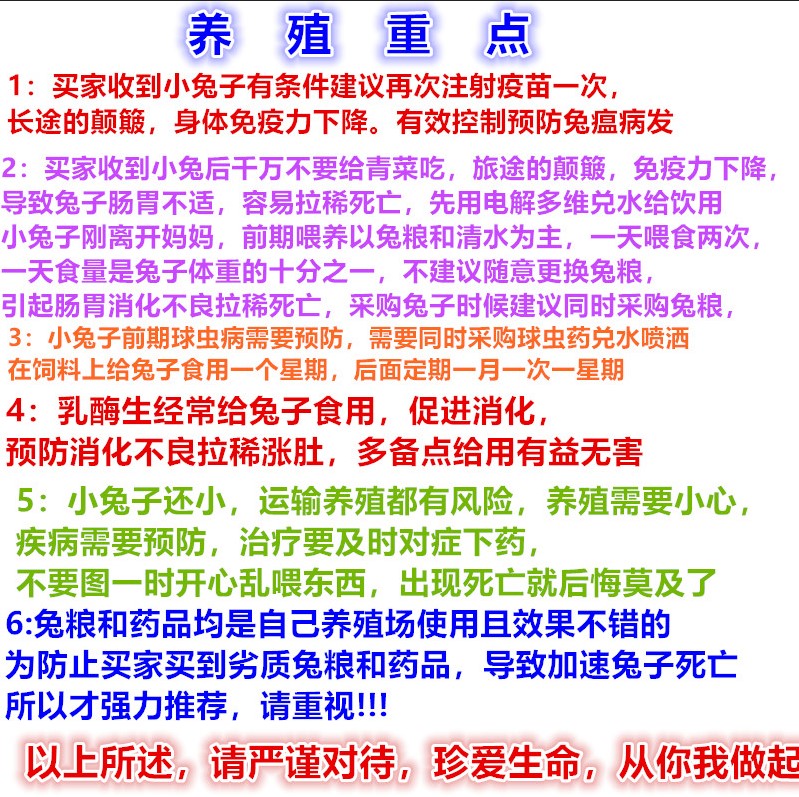 钙片补钙用于消化不良胀气健胃消食套餐预防疾病 - 图2