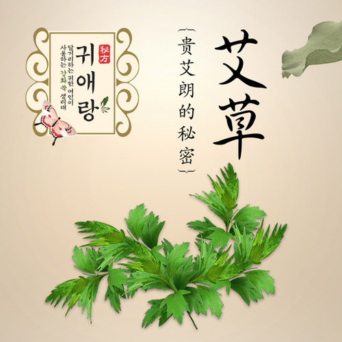 韩国原装进口贵艾朗(贵爱娘) 卫生巾日用/夜用组合共46片纯棉正品 - 图0
