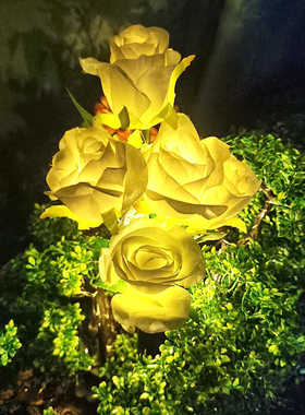 花园装饰灯庭院仿真植物地插