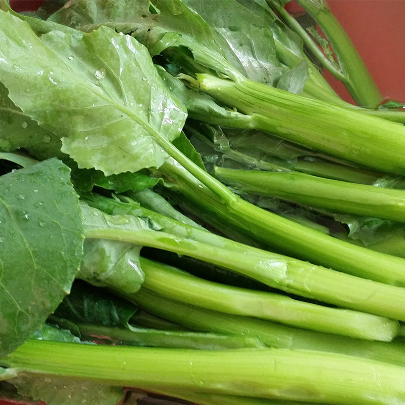 四季春季广东芥蓝菜籽种子木耳菜春菜芥兰梅菜大叶包心芥菜菜种籽 - 图2