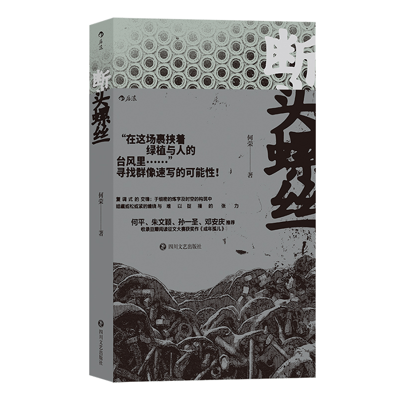 后浪正版现货 断头螺丝 何荣著 群像速写式短篇小说集 豆瓣征文大赛获奖作成年孤儿 华语原创小说书籍 - 图3