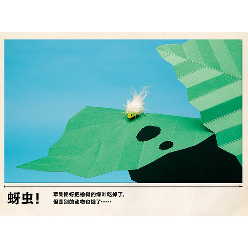 后浪正版现货 动物们都饿了 森林海洋天空食物链插图自然界生存法则雕塑艺术简笔画儿童启蒙认知书籍 - 图1