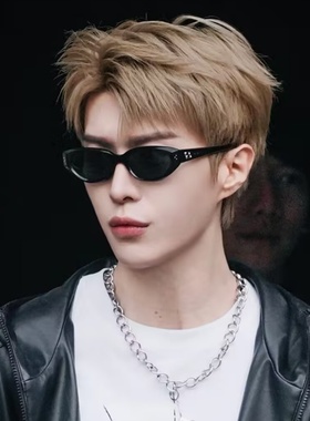 范丞丞同款偏光墨镜潮男士痞帅复古猫眼显脸小防晒街拍太阳眼镜女