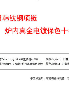 真金电镀钛钢项链2023年新款女不掉色轻奢小众夏锁骨链设计感高级