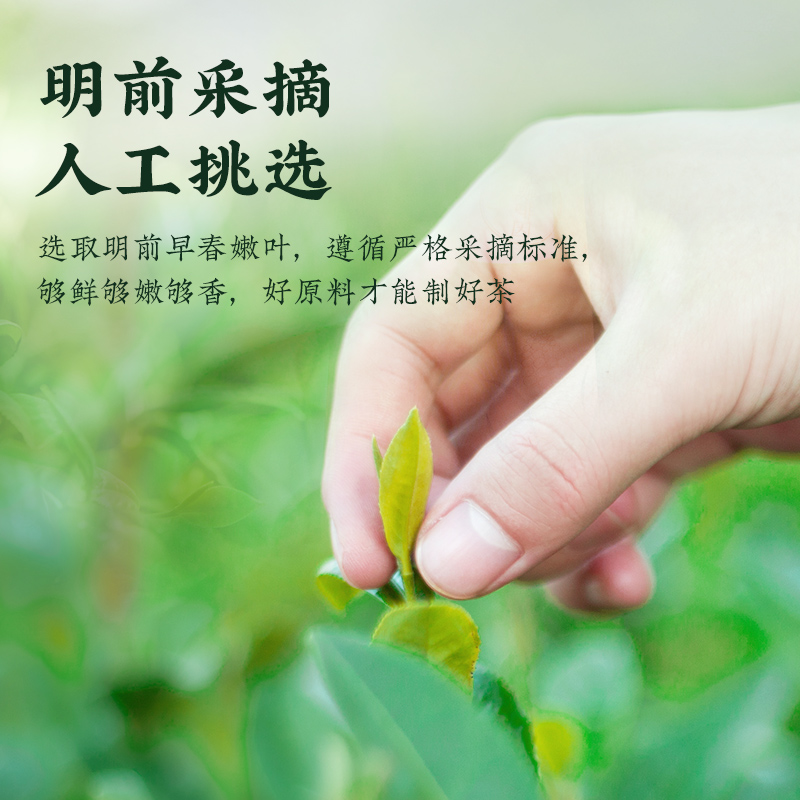 茶马世家恩施硒茶2024新茶玉露明前春茶高山云雾硒富绿茶礼盒500g - 图0