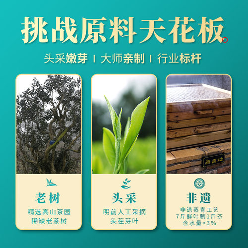 茶马世家恩施玉露特级明前头采春茶2026新茶正宗绿茶茶叶冷泡茶 - 图1