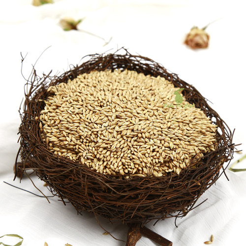 包邮进口加纳利子鹦鹉鸟食油尖粟白尖粟草庐籽金丝雀芙蓉鸟粮饲料 - 图1