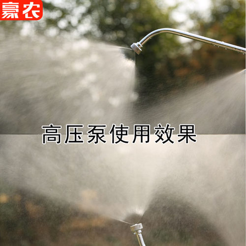 农用不锈钢高压扇形3 4 56喷头汽油机打药泵消毒迷雾打药机配件 - 图2