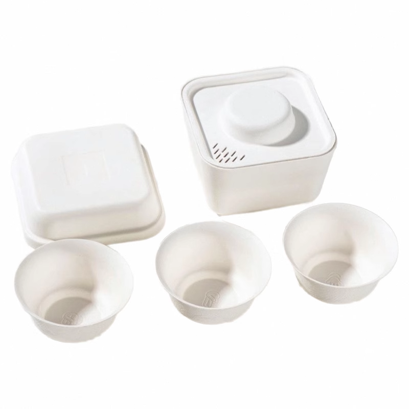 一次性茶具功夫茶套装户外盖碗茶壶茶杯便携式旅行茶具快客杯泡茶,淘宝优惠券,粉丝福利购,淘宝优惠卷