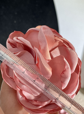 女士布料甜美金智秀同款