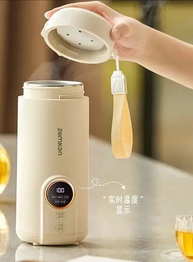 便携式烧水壶电热杯小型煮水杯