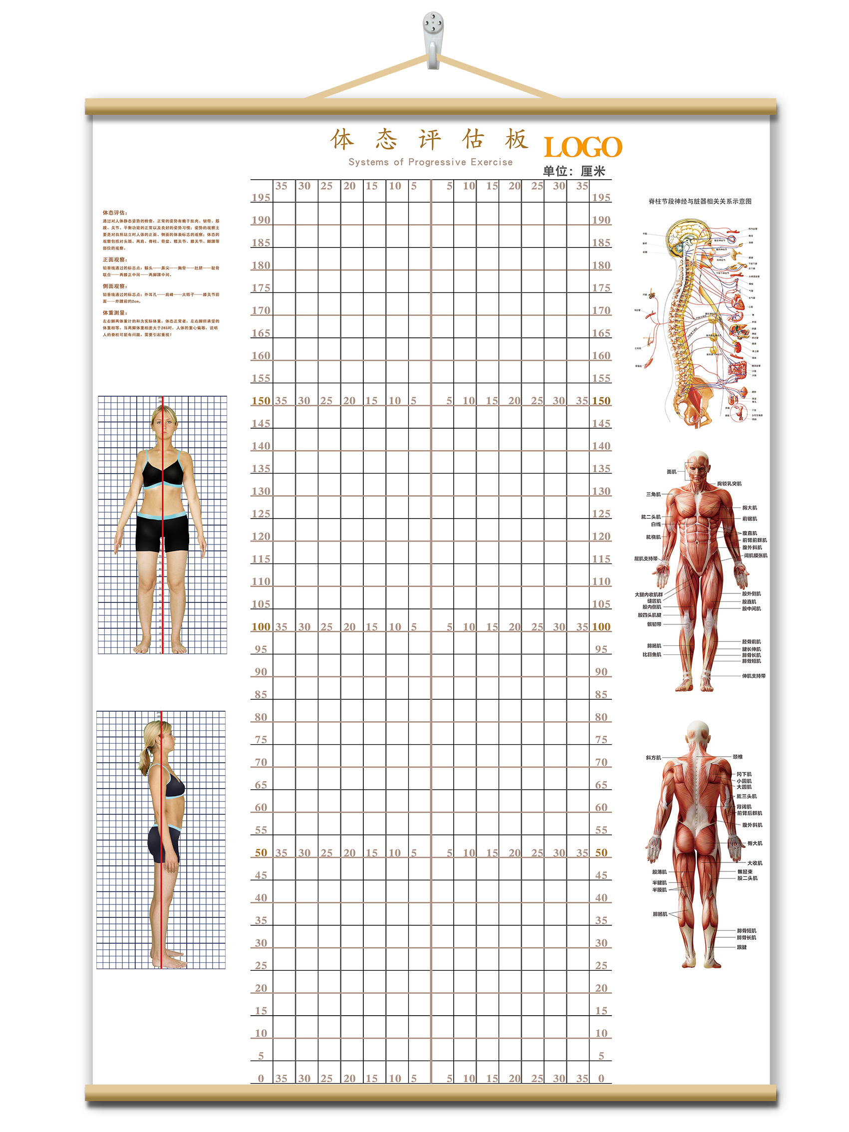 体态评估表墙纸贴式体测健身房瑜伽馆私教身体形姿矫正网格对比图 - 图0