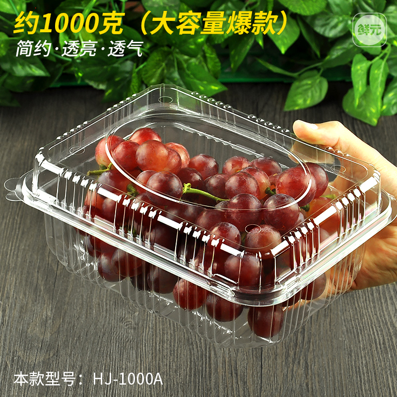 一次性水果包装盒超市一斤装透明塑料盒水果店500M网红草莓打包盒 - 图0