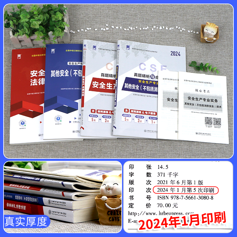 备考2024年初级注册安全师工程师教材历年真题试卷注安师初级安全工程师其他化工建筑煤矿金属冶炼矿山搭配中级习题集网课程件题库 - 图0