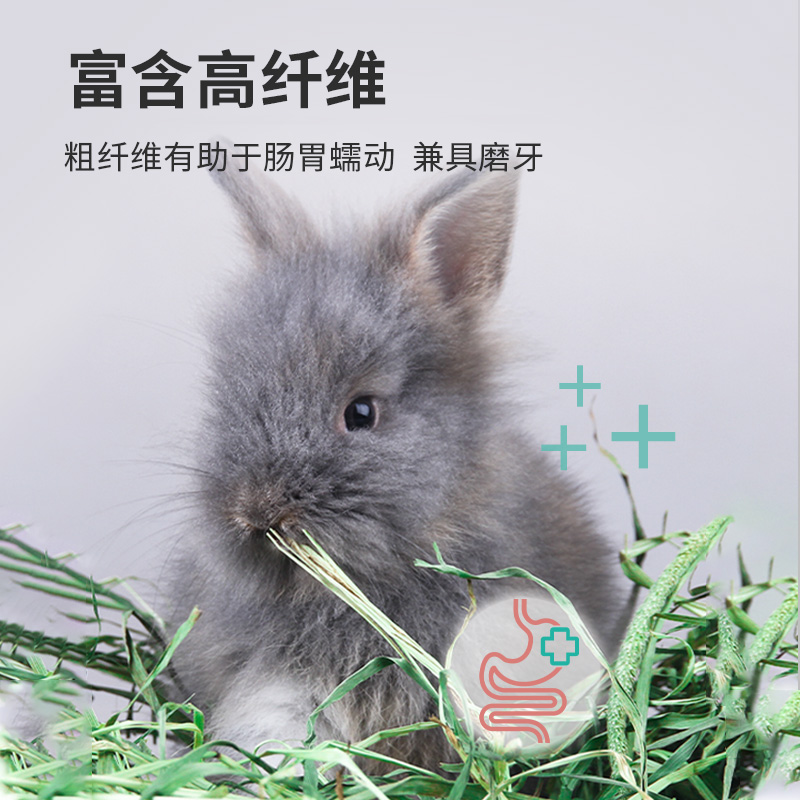 宠尚天2023烘干提摩西草饲料龙猫荷兰猪兔粮干草兔子牧草北提草段 - 图3