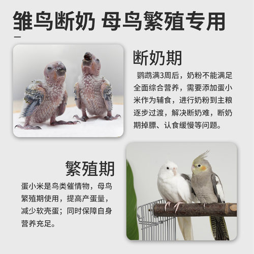 宠尚天鹦鹉蛋小米虎皮牡丹玄凤专用鸟粮小米黄谷子带壳鸟食鹦鹉粮 - 图0