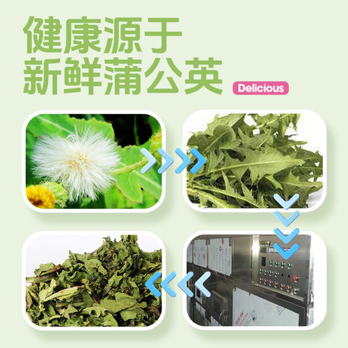 宠尚天仓鼠蒲公英草清热解暑降火龙猫兔子粮食物零食宠物夏季用品 - 图1