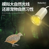 Pet Shangtian Luding Chicken Гарантия Светло -легкий нагреватель