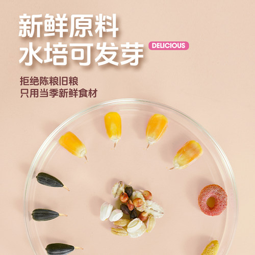 宠尚天仓鼠粮食金丝熊主粮营养专用食物面包虫干专用品大全非饲料 - 图3