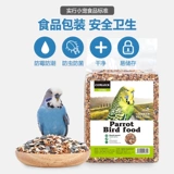 Петух Шангтиан попугай птиц кормл