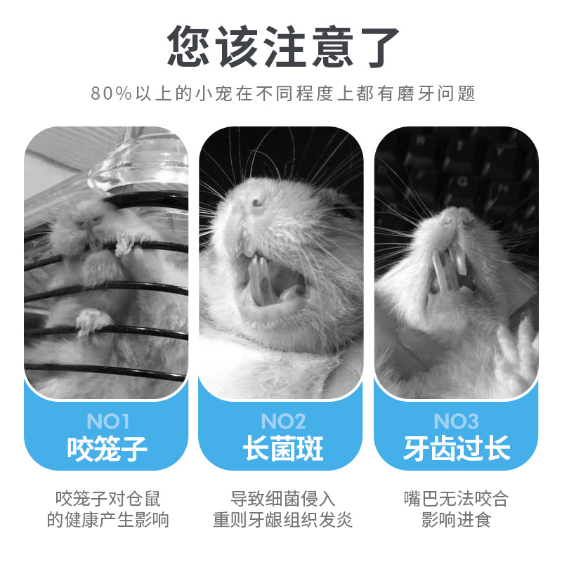 宠尚天仓鼠甜竹磨牙棒兔子金丝熊荷兰猪龙猫用品苹果枝玩具零食-图1