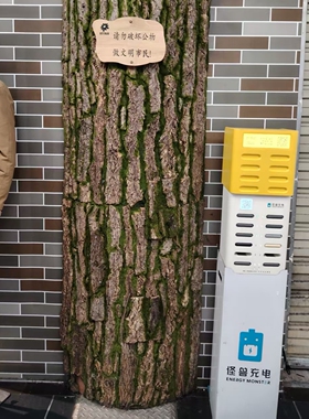 天然柳树皮包管道水管柱子真树皮仿真树假树造景装饰造型树皮装饰