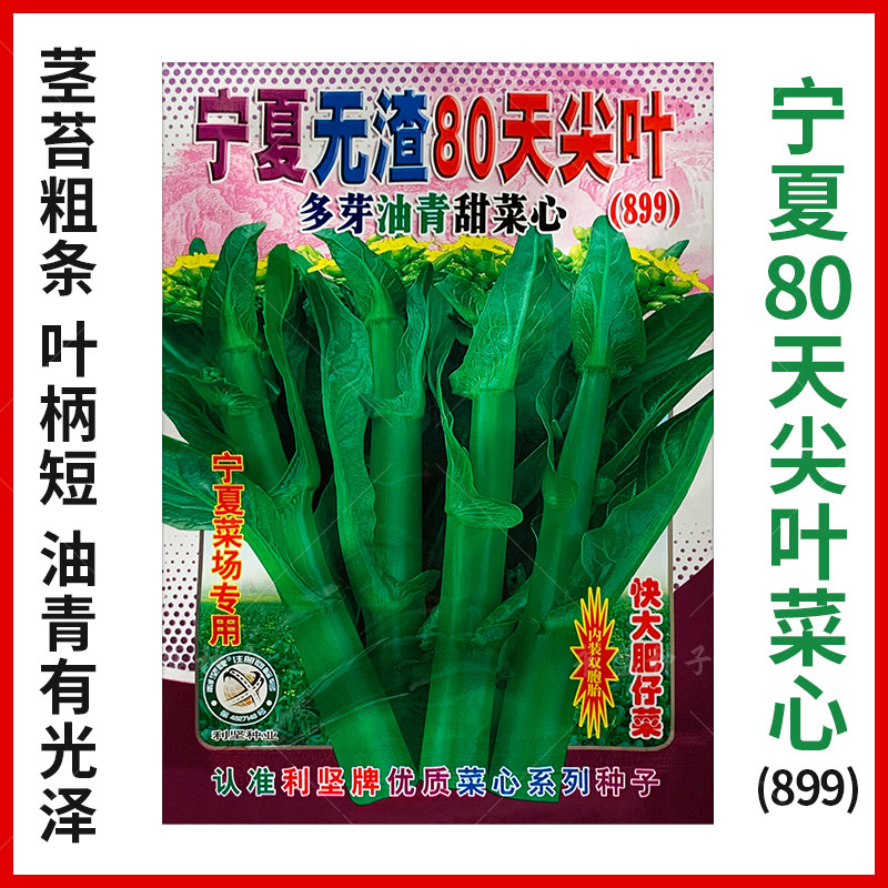 宁夏无渣80天尖叶多芽油青甜菜心种籽899茎苔粗菜心种子蔬菜种孑,淘宝优惠券,粉丝福利购,淘宝优惠卷