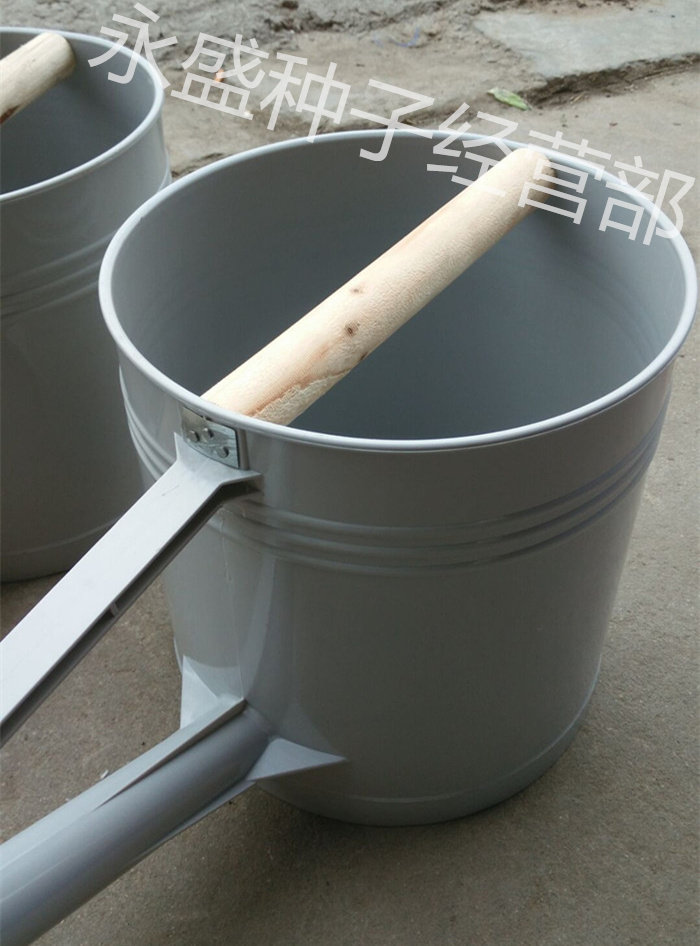 洒水壶水壶浇水农用工具洒水桶塑料浇菜水桶菜农专用洒水壶全新料,淘宝优惠券,粉丝福利购,淘宝优惠卷