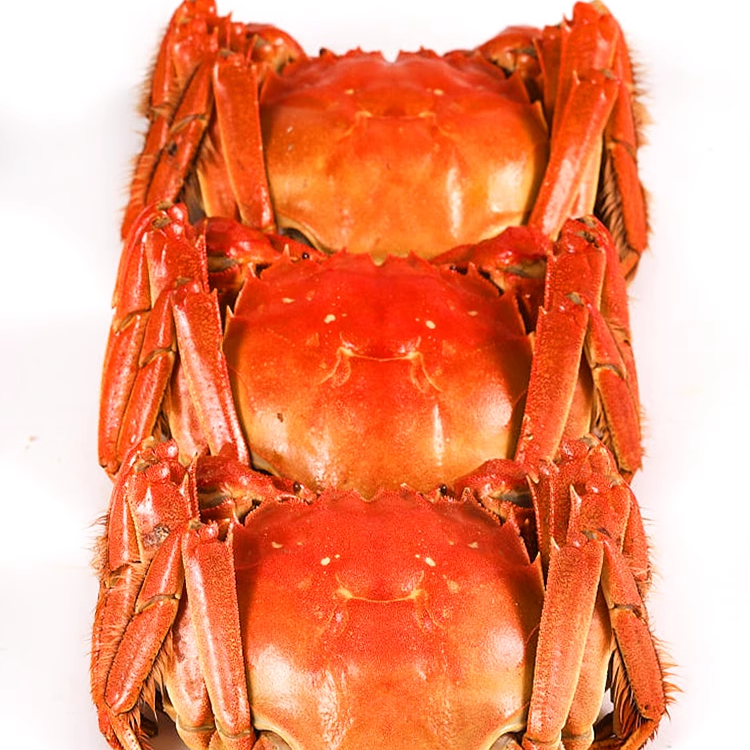 活蟹鲜活小蟹农蟹小吴大只大闸蟹公蟹4.3两母蟹3.3两官方特大礼盒,淘宝优惠券,粉丝福利购,淘宝优惠卷