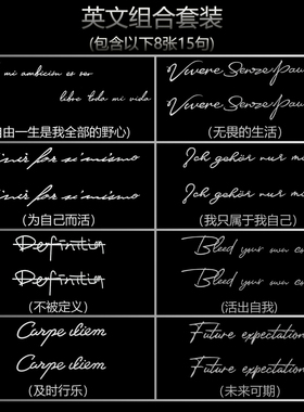 新款拉丁文套装纹身贴草本英文
