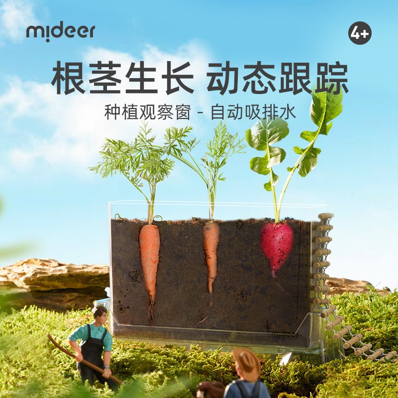 mideer弥鹿水培阳光种植房儿童玩具科学小实验套装植物生长观察盒 - 图0