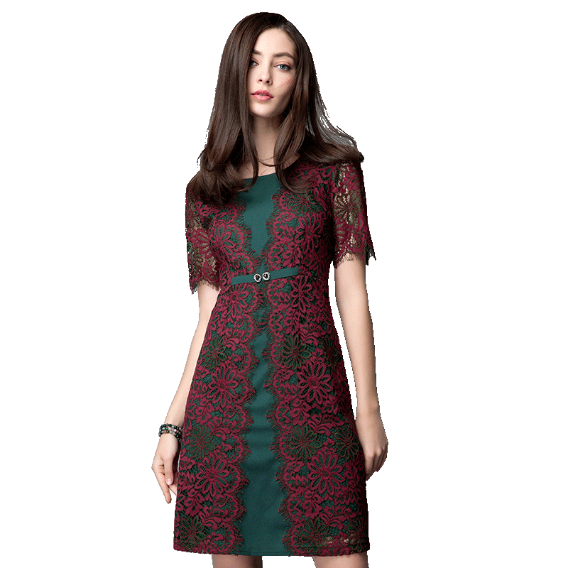 名人瑞裳夏装新款通勤复古连衣裙 名人瑞裳连衣裙