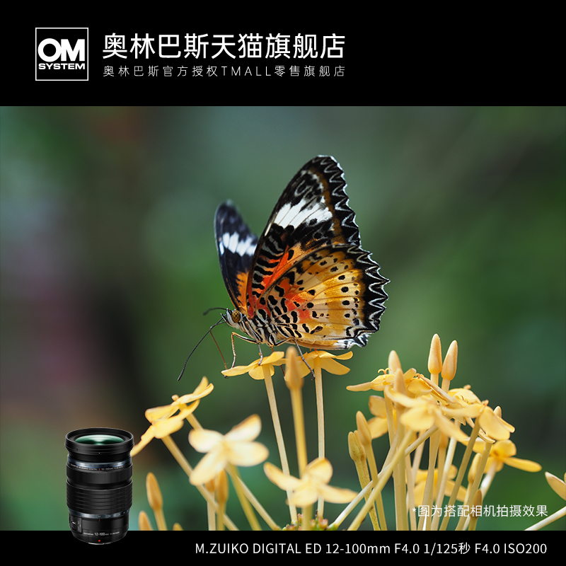 olympus-12-100mm-f-4-0-is-pro