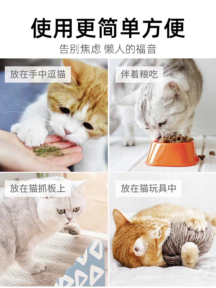 高纯度猫薄荷粉可食用天然猫薄荷干草罐装纯正猫咪爱吃喝水零食浓 - 图1