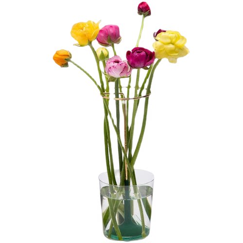 Peleg Design魔法花托花瓶 Invisivase创意简约小花器花架 - 图3