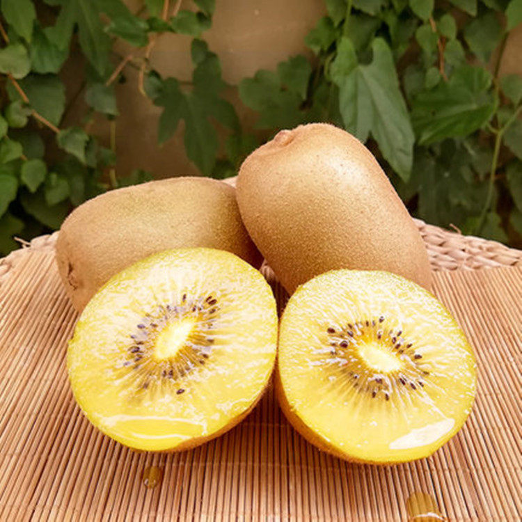四川河南黄心猕猴桃早期绿肉g3黄心奇异果包邮新鲜猕猴桃,淘宝优惠券,粉丝福利购,淘宝优惠卷