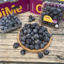 Peru imports fresh blueberry fresh fruit big fruit sweet blueberry pregnant woman with fruit baby covets